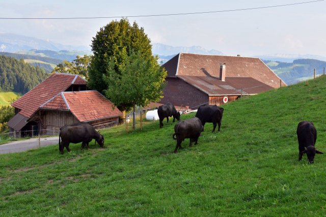 Unser Hof
